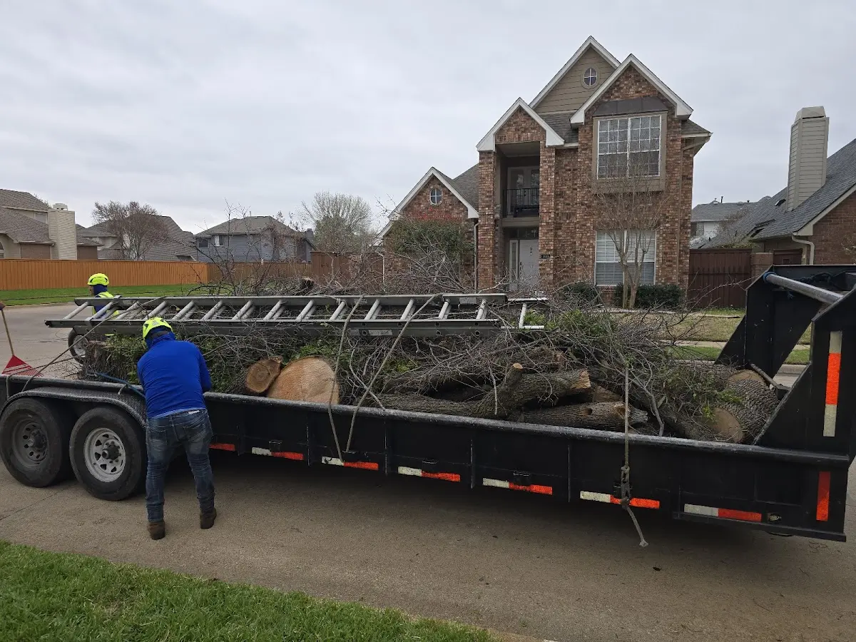 Expert Tree Pest Control with proper safety equipment in Johnson Creek